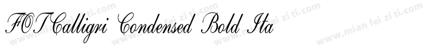 FOTCalligri Condensed Bold ItalicVe字体转换